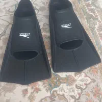 فین شنا