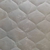 تشک پارامیس
