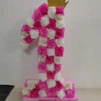 استند عدد یک تولد و ریسه کیتی