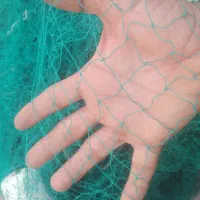 تورماهیگیری. دوقلوه وشیر