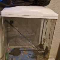 آکواریوم|ماهی|اصفهان, فرح آباد|دیوار