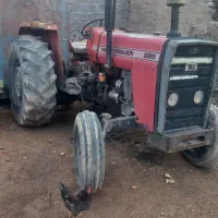 تراکتورو گاو آهن