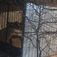 قفس بزرگ برای نگهداری انواع پرندگان وحیوانات