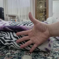 تشک پشمی (دشک)|رختخواب، بالش، پتو|تهران, جوانمردان (اندیشه)|دیوار