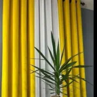 پرده آماده|پرده، رانر، رومیزی|ساری, |دیوار