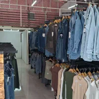 استخدام نیروی کار خانم