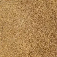 دو تن گندم بذری