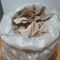 نان خشک بدون کفک درجه یک