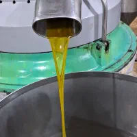 روغن زیتون تازه تحویل  پای شیر کارخانه روزانه