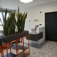 استخدام گرافیست|استخدام هنری و رسانه|تهران, مرزداران|دیوار