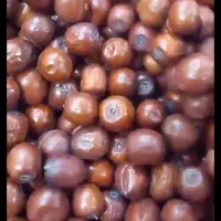 عناب شیرین بیرجندی