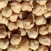 نخود درشت و بوجاری