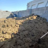 کود گاو محلی