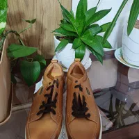 کفش نو|کیف، کفش، کمربند|کرمان, |دیوار