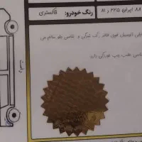 ۲۰۶ تیپ ۵ مدل ۹۶|خودرو سواری و وانت|سنندج, |دیوار