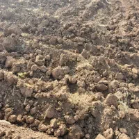 زمین-کشاورزی