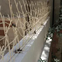 جوشکاری و آهنگری سیار|خدمات پیشه و مهارت|تهران, افسریه شمالی|دیوار