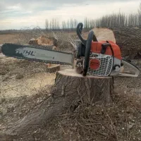 خرید وبرش همه نوع درخت وچوب