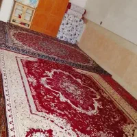 اجاره خانه|اجارهٔ آپارتمان|قم, ولیعصر|دیوار