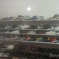 انواع اسپرت مردانه و زنانه وپوتین|کیف، کفش، کمربند|جوانرود, |دیوار