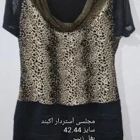 فرش ،قیمتامتفاوت|فرش|اهر, |دیوار