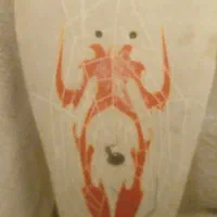 سلام اسکیتبرد..حرفه ای