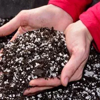 پخش از کارخانه (تضمین کیفیت وقیمت)|مصالح و تجهیزات ساختمان|مشهد, تبادکان|دیوار