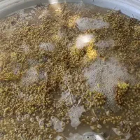 آبغوره طبیعی