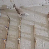 ماده زرد دم سفید