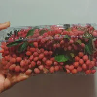 زرشک پفکی تازه ،دست چین شده و باکیفیت|خوردنی و آشامیدنی|شاهینشهر, حافظ شمالی|دیوار