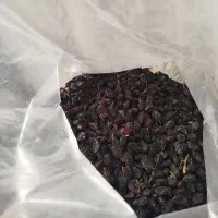 انواع کشمش|خوردنی و آشامیدنی|میاندوآب, |دیوار