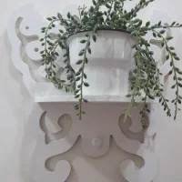 شلف جاکلیدی|کتابخانه، شلف، قفسه‌های دیواری|تهران, جنت‌آباد مرکزی|دیوار