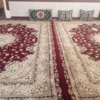 دو. 12متری سالم|فرش|تایباد, |دیوار