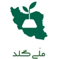 50 هزار اومد هدیه ملی گلد