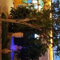 اقامتگاه-بومگردی-عارف-و-ماهرخ