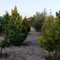 فروش باغشهری ۱۰۰۰متربا ساختمان ۵۰ متری|فروش خانه و ویلا|شیراز, ظفرآباد|دیوار
