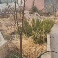 باغ-زرقان