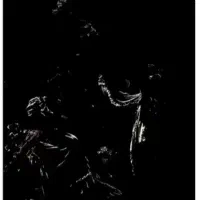 فروش تابلوفرش نیمه کاره|تابلو فرش|همدان, |دیوار