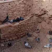 پلاکی