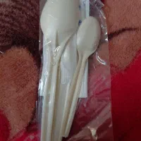 پک قاشق گیاهی یکبار مصرف