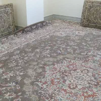 فرش ۱۲ متری|فرش|سقز, |دیوار