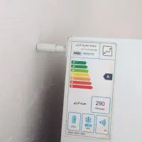 سبزی پخت  کیلوی ۱۱۰تومن ویخجال وفرزه هم۳۰تومن|خوردنی و آشامیدنی|مسجد سلیمان, |دیوار