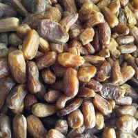 خرما|خوردنی و آشامیدنی|همدان, |دیوار