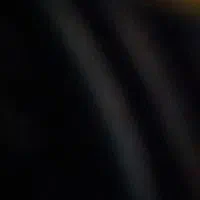 جفت عروس هلندی