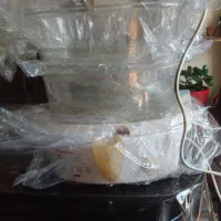 خانه واشپز خانه ،وسایل برقی اشپز خانه|اجاق گاز و لوازم برقی پخت‌وپز|تهران, فردوس|دیوار