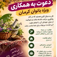 بانوان کرمانی این فرصت درآمدزا برای شماست