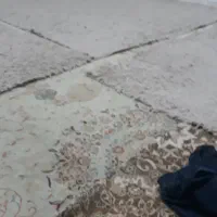 فرش ماگارونی|فرش|فردیس, شهرک هفده شهریور|دیوار