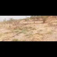 فروش زمین ۱۲۹۷ متری باغ پسته|فروش زمین و ملک کلنگی|شیراز, لب آب|دیوار
