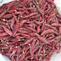 فلفل قرمز نکوبیده