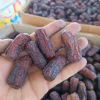 فروش مستقیم انواع خرما بدون واسطه از باغدار|عمده‌فروشی|تهران, تختی|دیوار